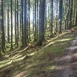Baseglamp * 보리스