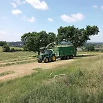 Baseglamp *