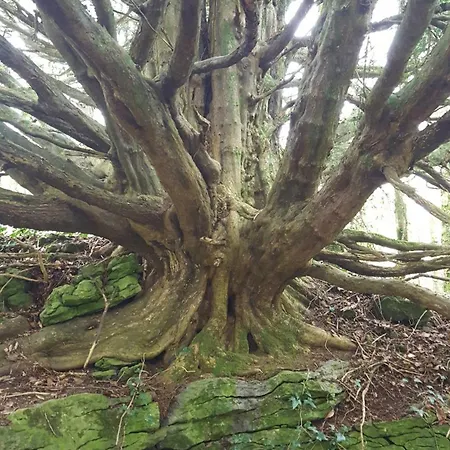 Baseglamp Σπίτι διακοπών Borris