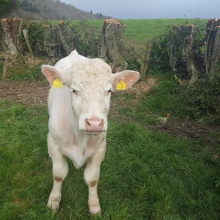 Baseglamp Σπίτι διακοπών