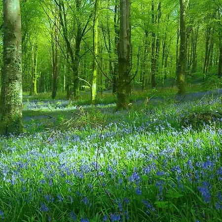 Σπίτι διακοπών Baseglamp