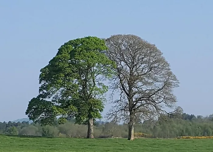 Vakantiehuis Baseglamp *