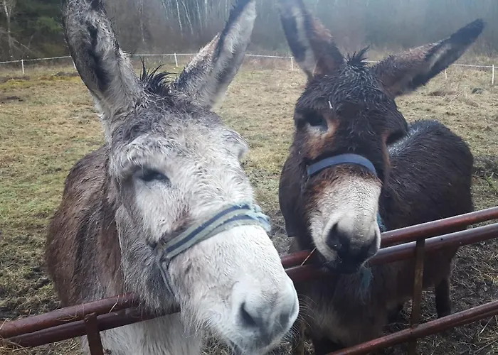 Baseglamp Vakantiehuis