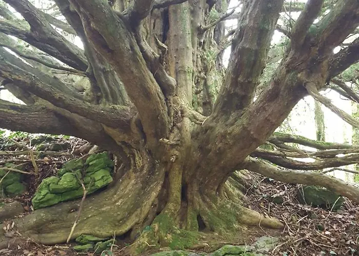 Baseglamp Дом отдыха Боррис