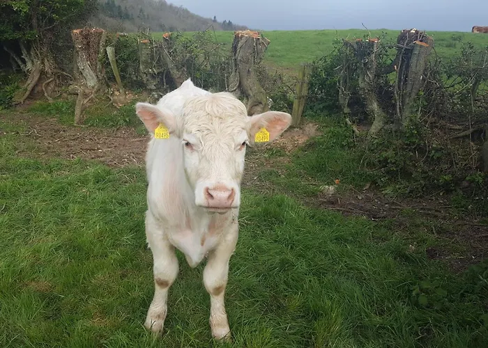 Baseglamp Vakantiehuis