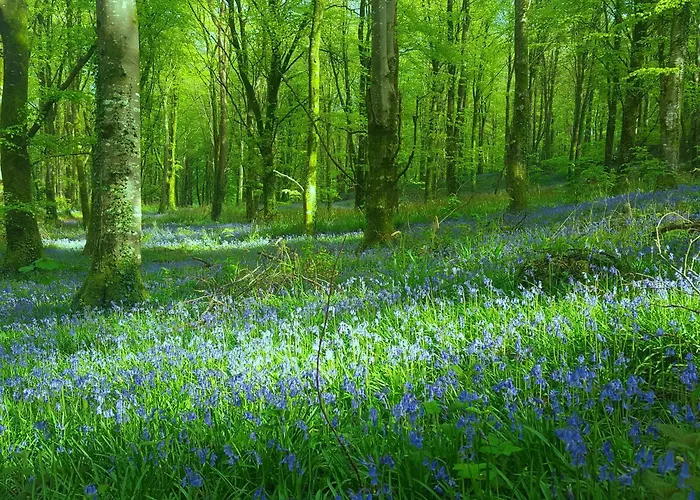 Дом отдыха Baseglamp