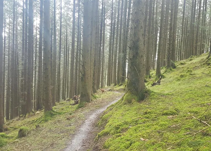 Дом отдыха Baseglamp Боррис