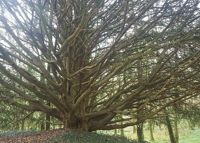 Baseglamp Vakantiehuis *