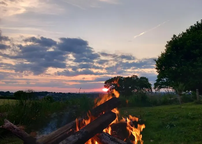 Baseglamp Боррис