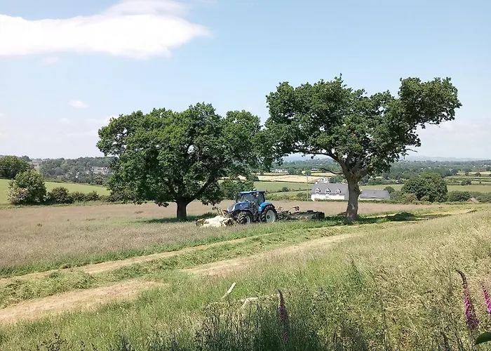 Vakantiehuis Baseglamp *