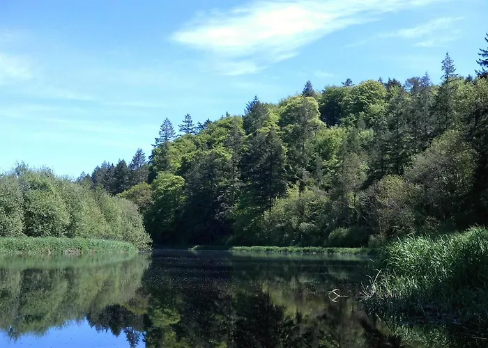 Baseglamp * Боррис